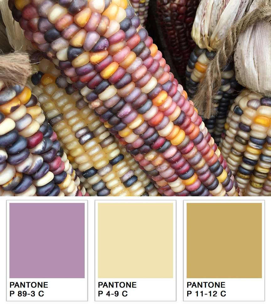 paint editor with color match tool