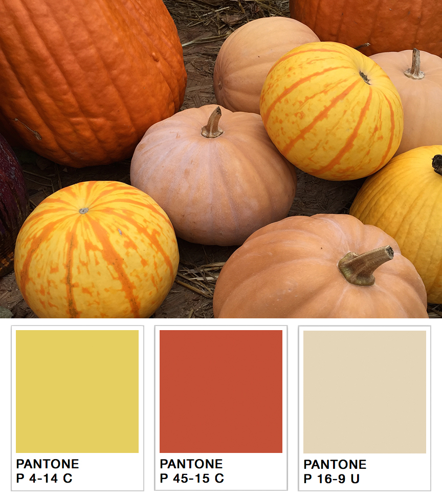 Pumpkins