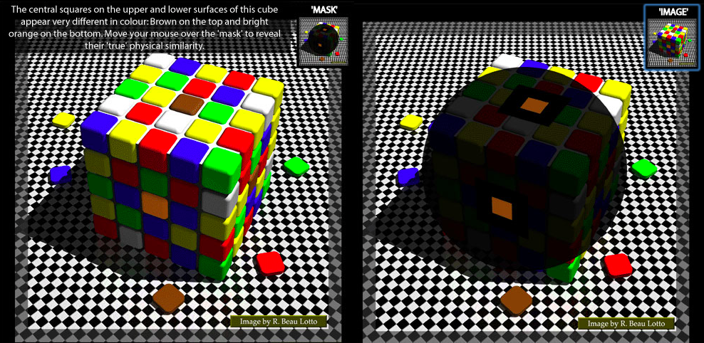 Beau Lotto Cube Illusion color perception