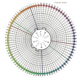 x-rite fm100 color vision test scoring