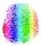 Color Thumbprint
