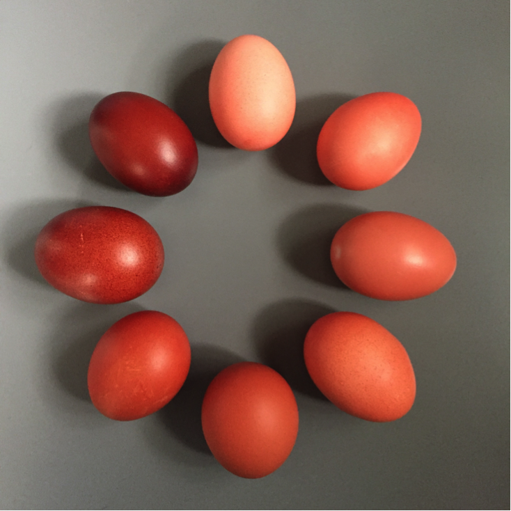 Egg 10. Красное яйцо. Яйцо красного цвета. Красные яйца на Пасху. Крашеные яйца красные.