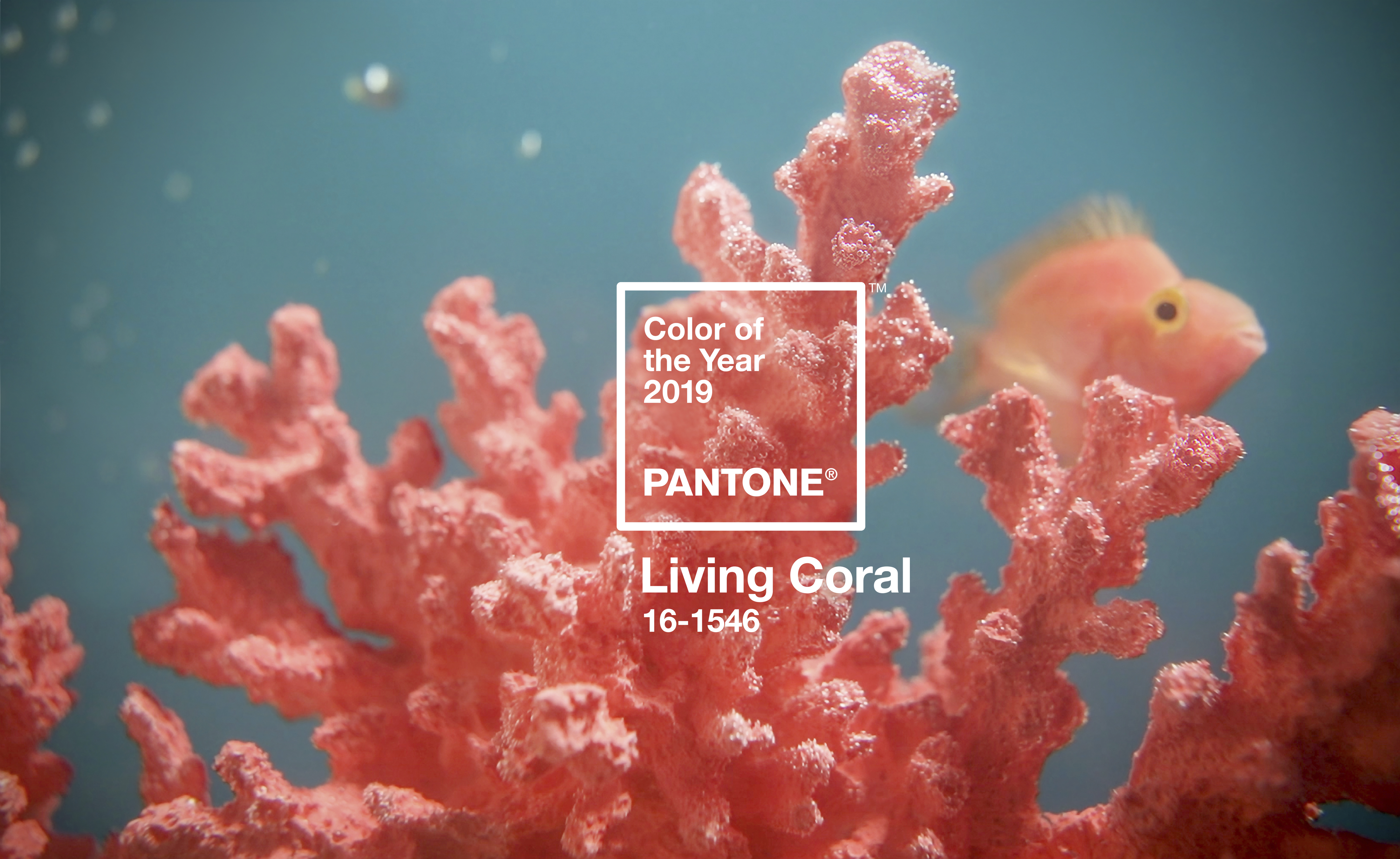 Pantone Color of the Year 2019 | X-Rite Blog
