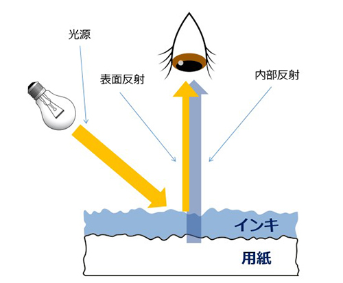 Polarization Filter