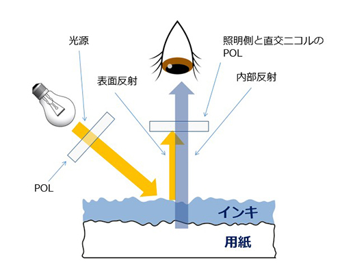 Polarization Filter