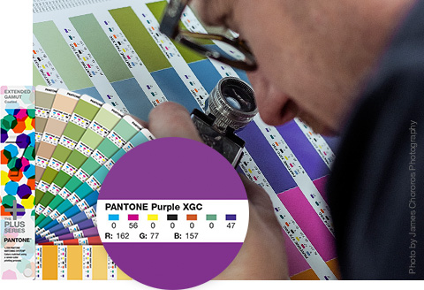 PANTONE Extended Gamut Guide Trends