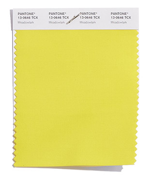 Pantone-Meadowlark