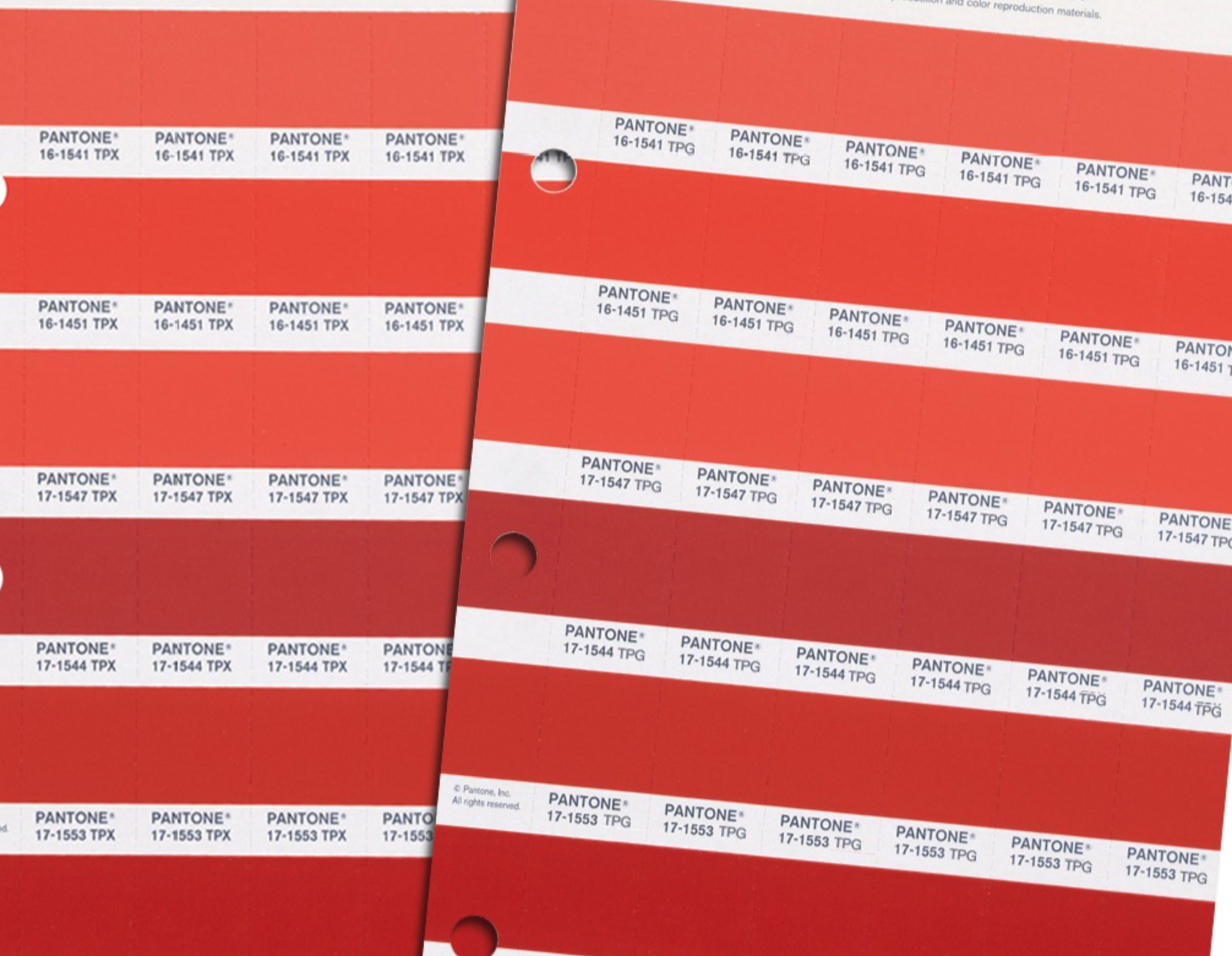 Pantone stickers