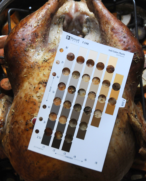 marrón dorado, marrón oscuro, marrón claro, análisis del color del pavo, sistema de análisis del color de Munsell