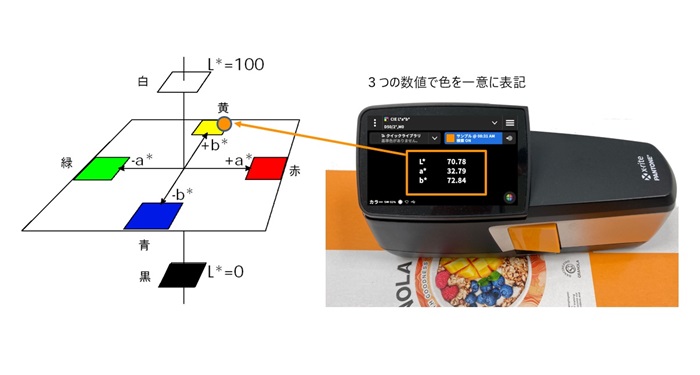 Visible Spectrum Light Lab