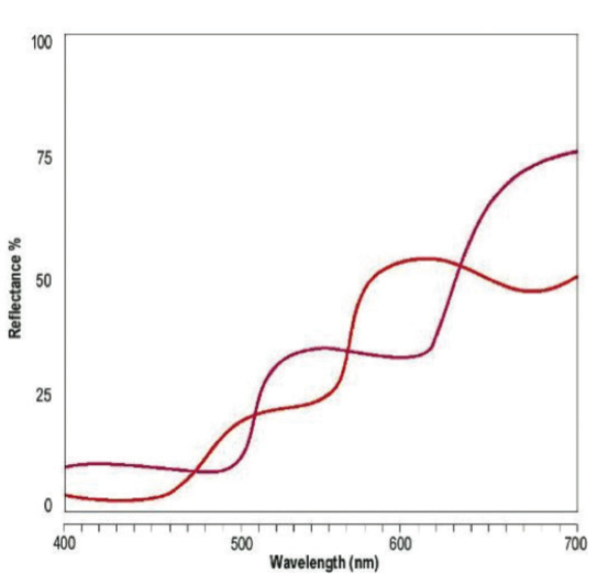 Reflectance Curves Metamerism - What Is Metamerism