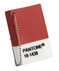 PANTONE Chip Drives USB Flash Drive.