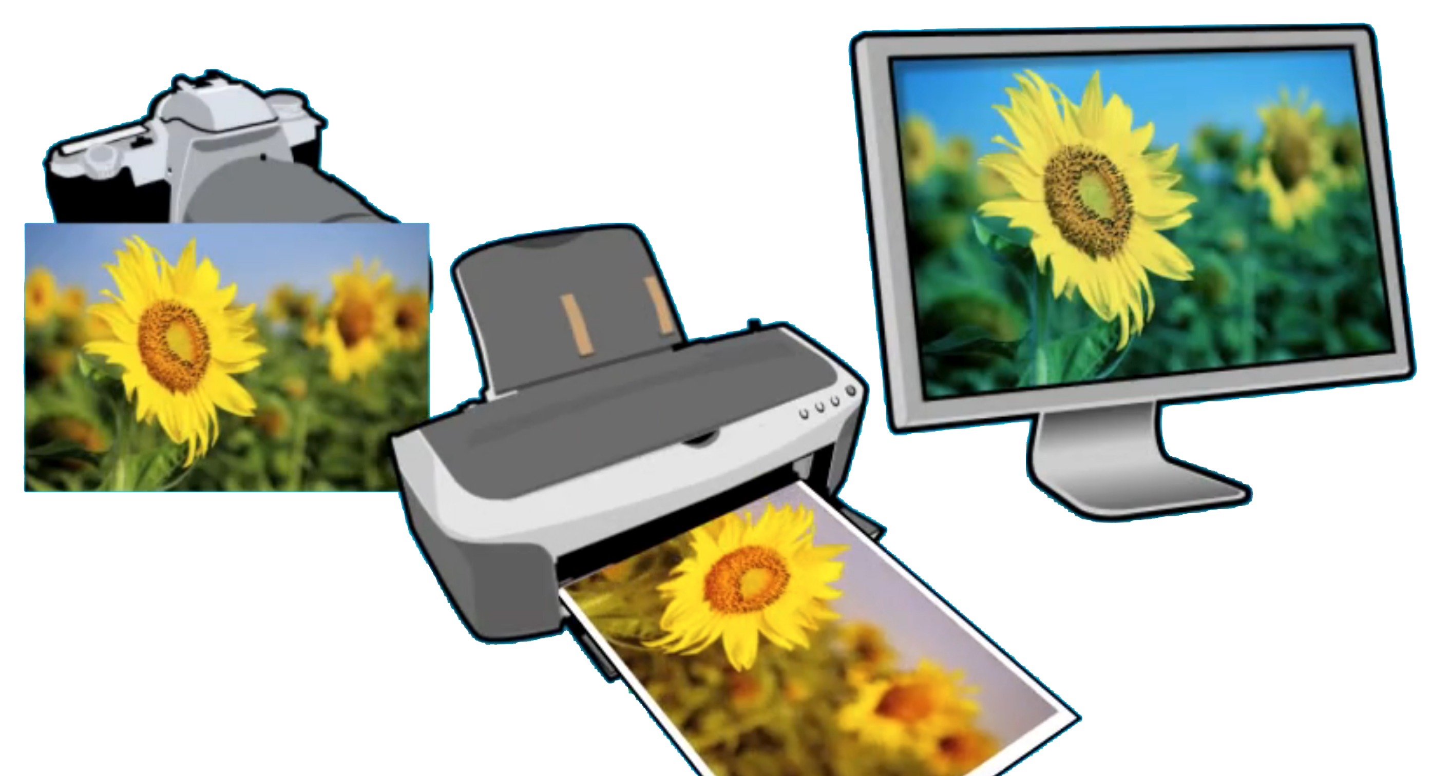 X-Rite Color Detective - The Off Color Print | X-Rite Blog X-Rite Color Detective - The Off Color Print | X-Rite Blog