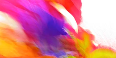 X Rite Color Management Measurement Solutions And Software