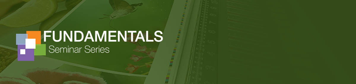 Fundamentals of Color and Appearance