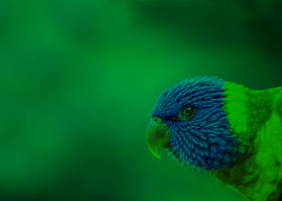 Browse X-Rite Webinars