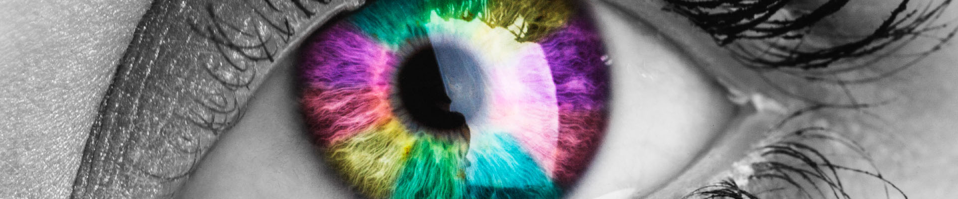 Color Spectrophotometers | Instruments for Color Measurement