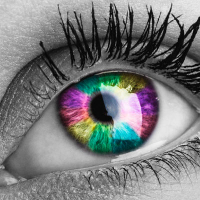 Color Spectrophotometers | Instruments for Color Measurement