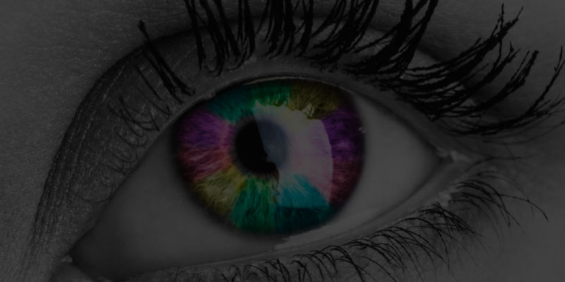 Color Spectrophotometers