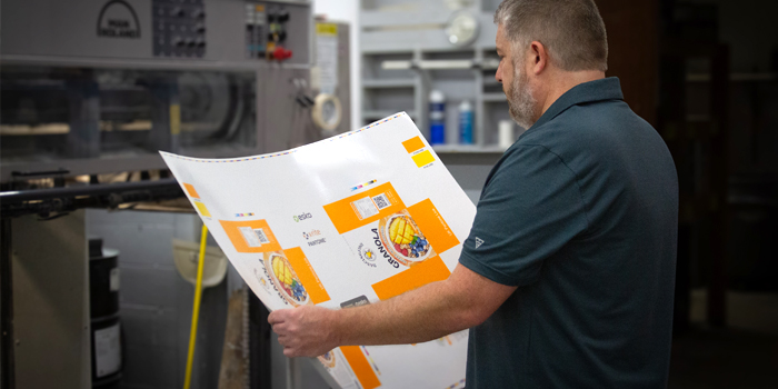 Gespräch und Zusammenarbeit mit Farbexperten Media