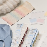 Pantone Color of The Year White