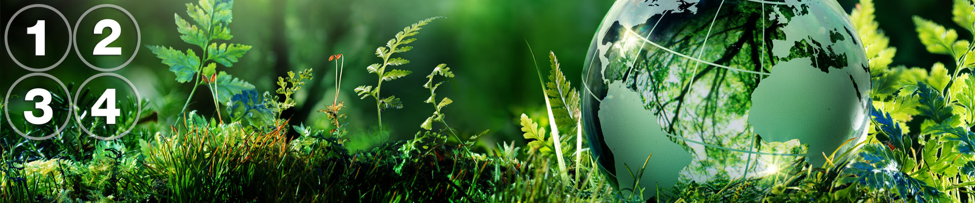 4 Ways to Achieve Sustainability