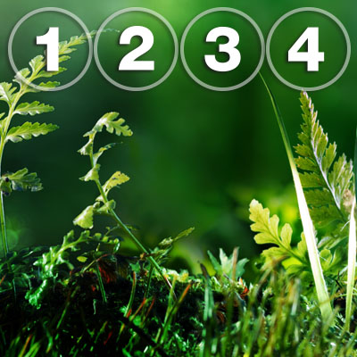 4 Ways to Achieve Sustainability