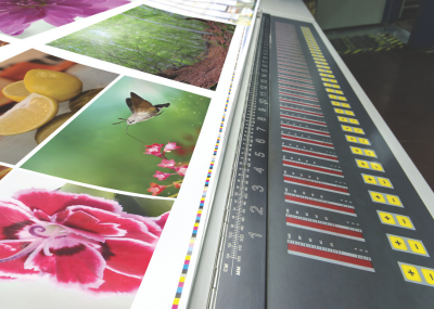 Offset360 Webinar 3