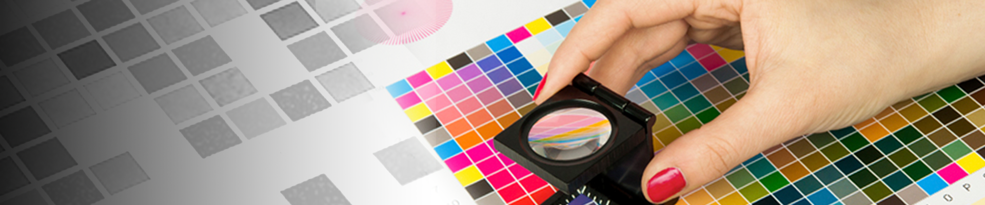 Understanding the Basics of Color Management- Part II | X-Rite