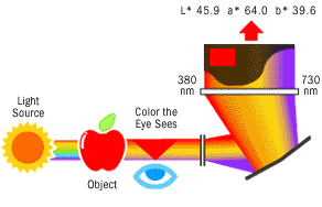 色彩計と分光測色計