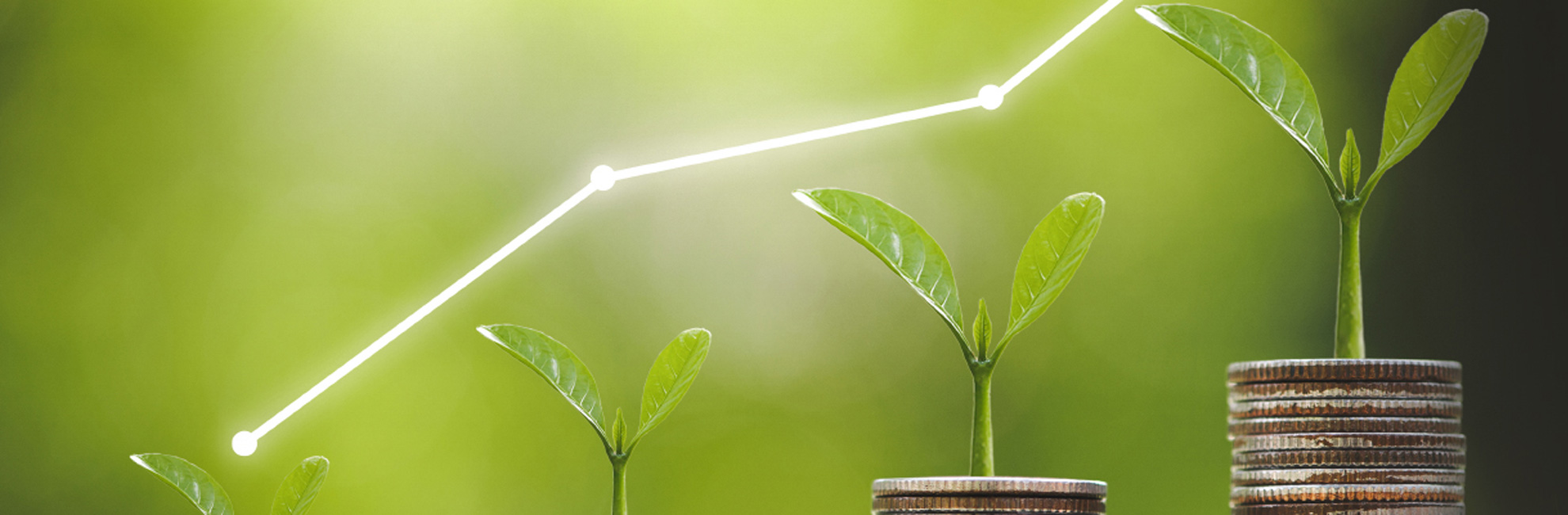 exact2-long-term-support-plan-3year_top-carousel